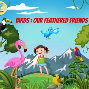 BIRDS: OUR FEATHERED FRIENDS